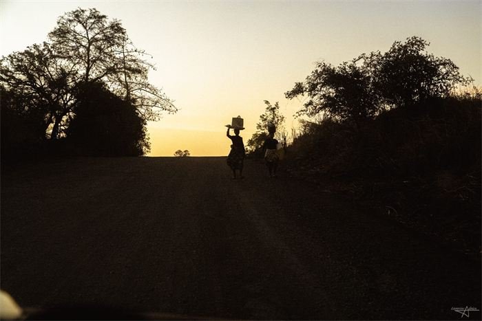 Silhouettes d'arbres au coucher du soleil, Madagascar