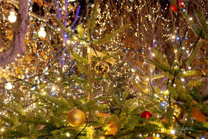 Sapin de Noël couvert de lumières