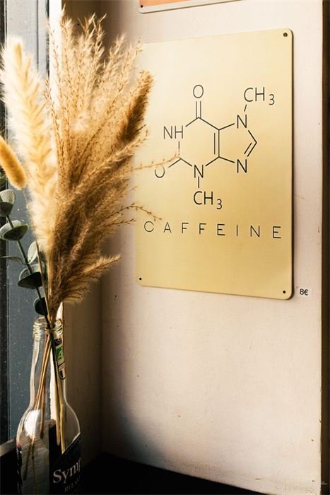 Décoration murale « caféine » et herbes de la pampa