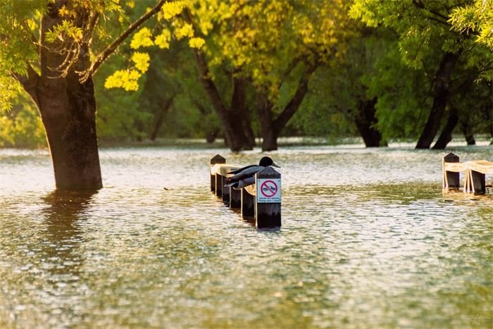 Parc inondé à l'automne