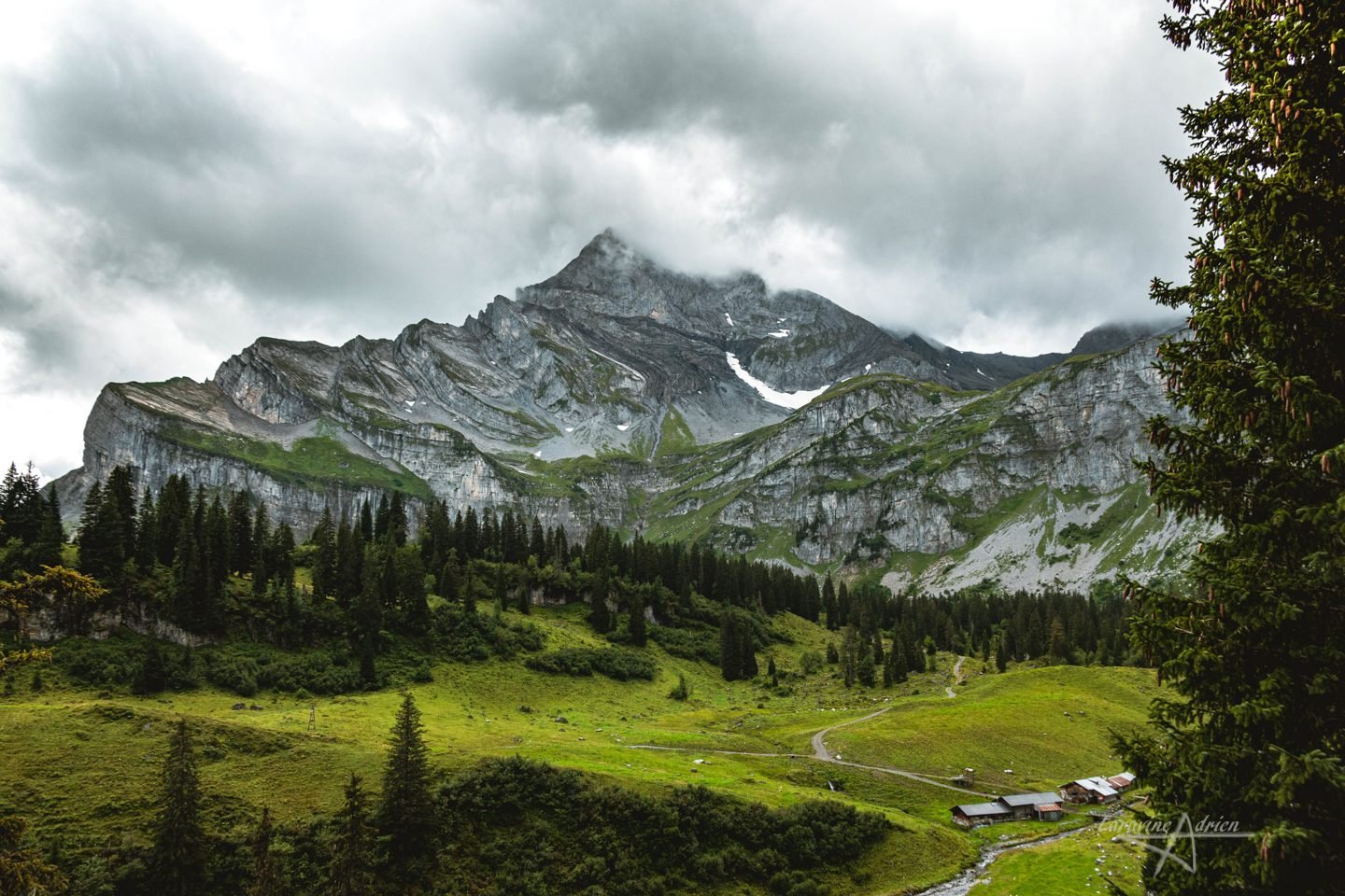 Sommet montagneux sous les nuages au-dessus d’une forêt de sapins