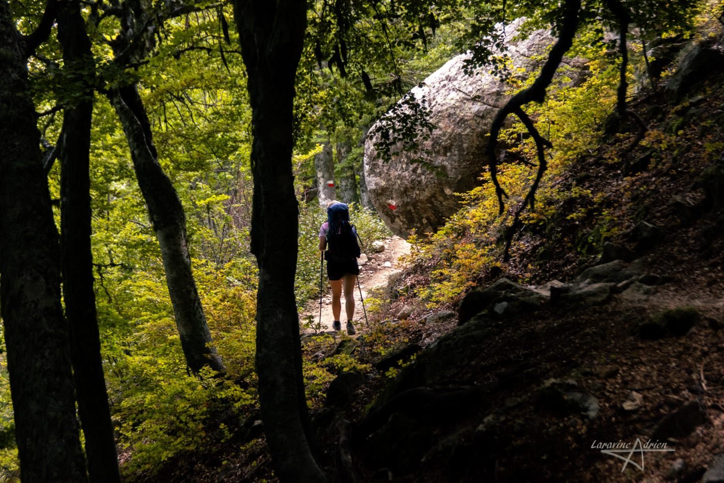 Randonneur sur un sentier en sous-bois